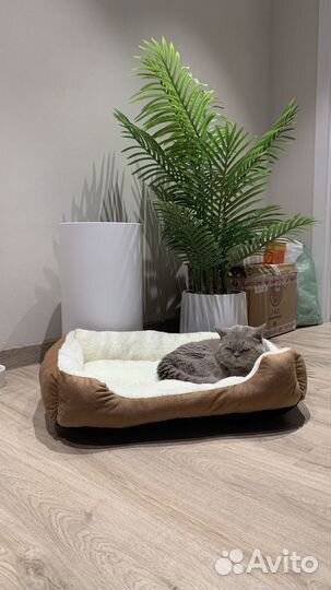 Новая лежанка для животных