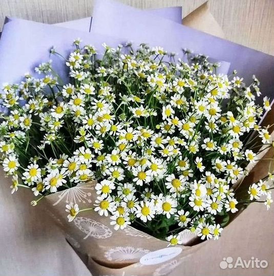 Букеты ромашек