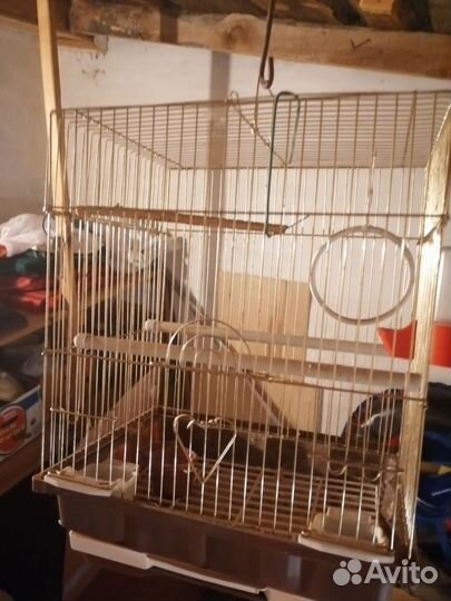 Клетка для волнистого попугая