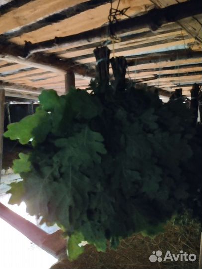 Веники для бани