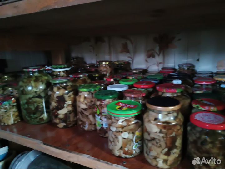 Грибы валуи и груздья