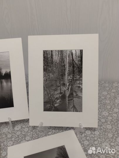 Фотографии