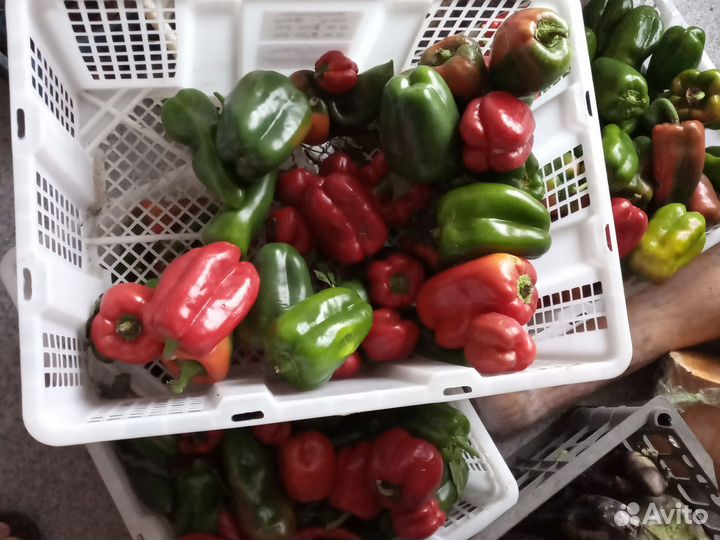 Перец, баклажаны, кабачки