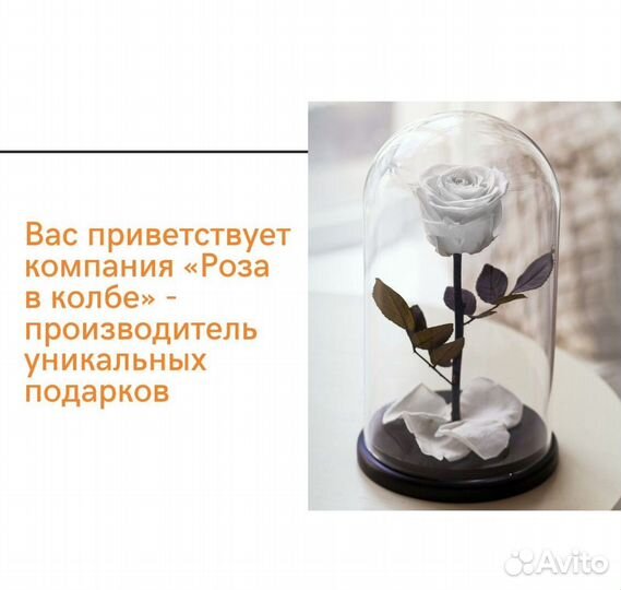 Роза в колбе. Качественная