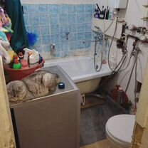 1-к. квартира, 31,4 м², 2/5 эт.