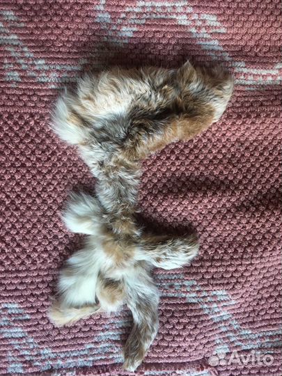 Натуральный мех шкурки - кролик, норка (комплект)