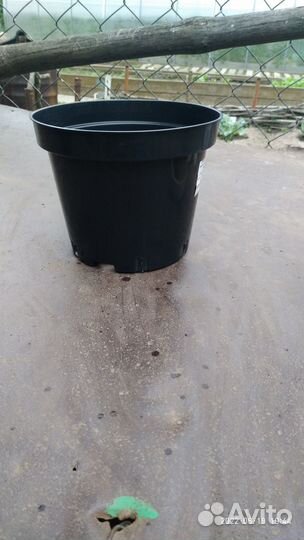 Кашпо для растений