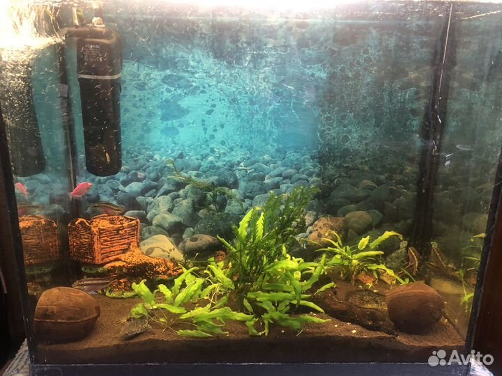 Аквариум с рыбками