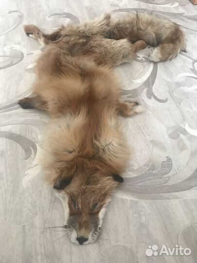 Натуральная шкура лисы