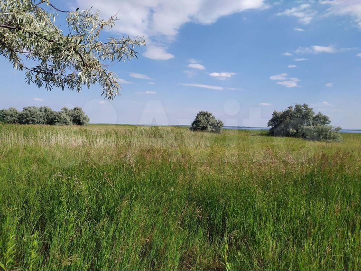Участок 80 сот. (СНТ, ДНП)