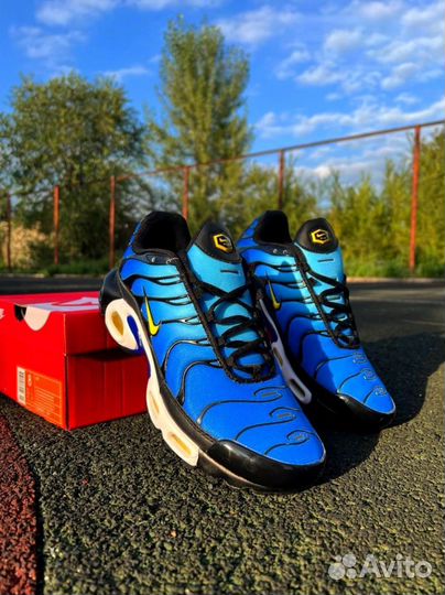 Nike Air max tn plus + Asics Gel NYC