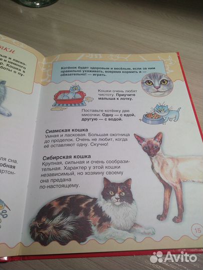 Книжка о животных. Новая