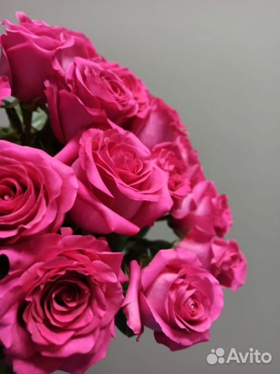 Роза 60см (Эквадор)