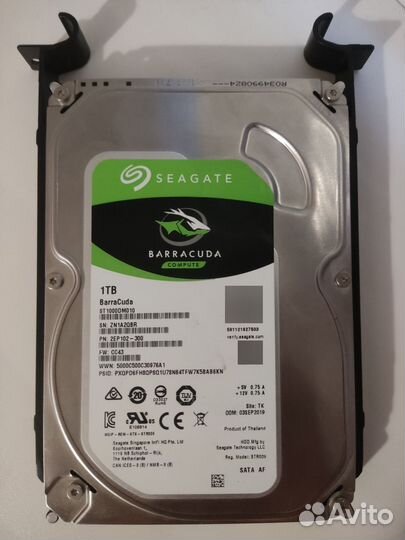 Жесткий диск 1 тб