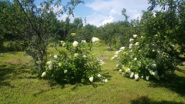 Участок 20 сот. (СНТ, ДНП)