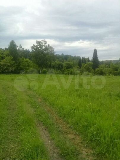 Участок 50 сот. (СНТ, ДНП)