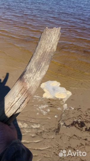 Продам то что на фото