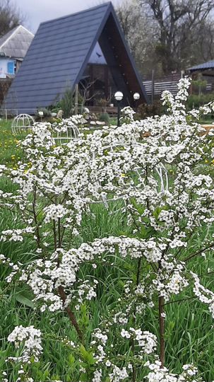 Дом 35 м² на участке 1 сот.