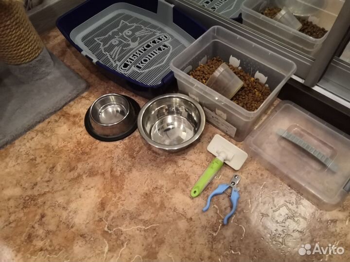 Все для кошек бу