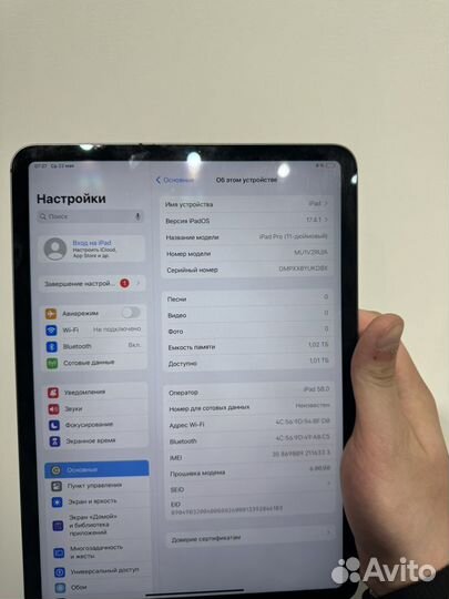 iPad pro 11 1tb