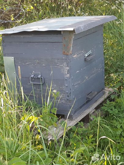 Улей с пчелами