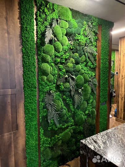 Мох. Вертикальное озеленение. Фитостена. Декор
