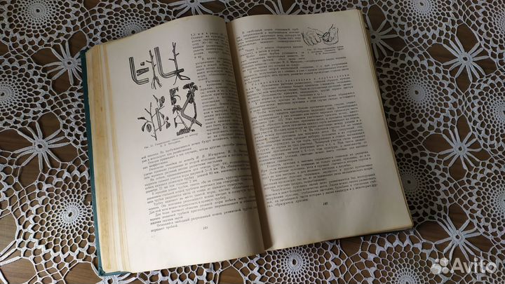 Книги о комнатных садовых цветах фонтанчики букеты