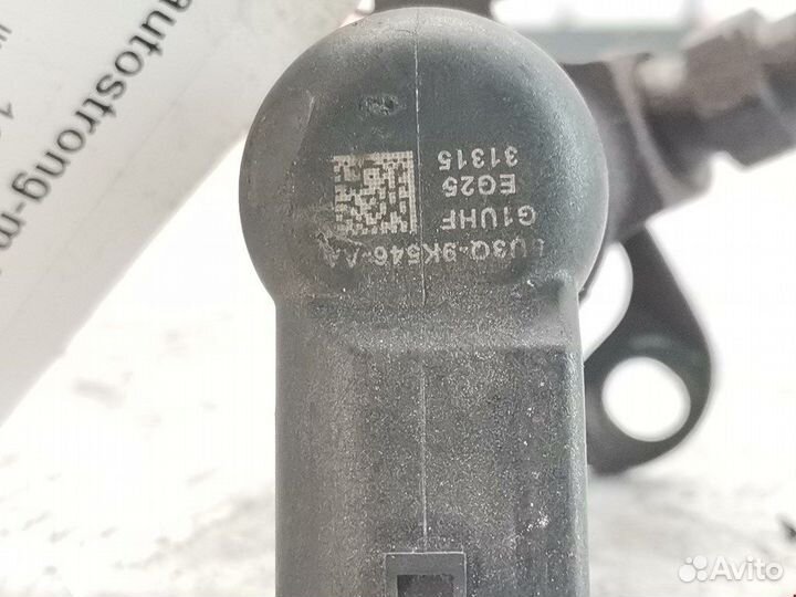 Форсунка дизельная электрическая, Jaguar S-Type (1