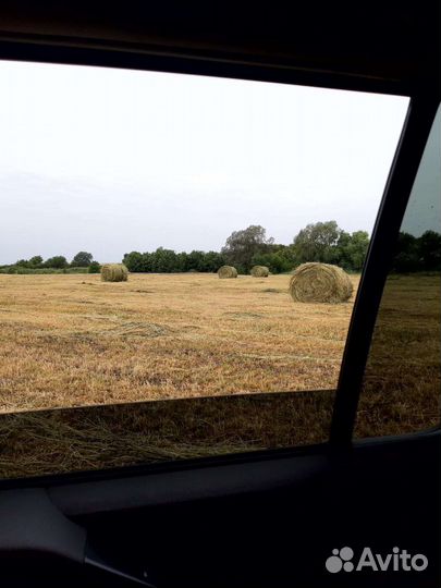 Сено-люцерка