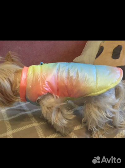 Жилетки для собаки