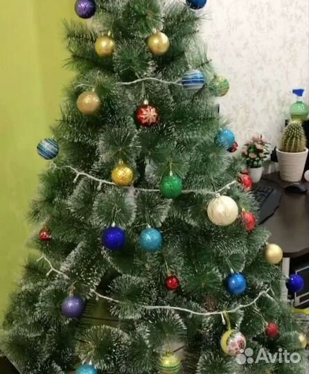 Сосна с эффектом снега