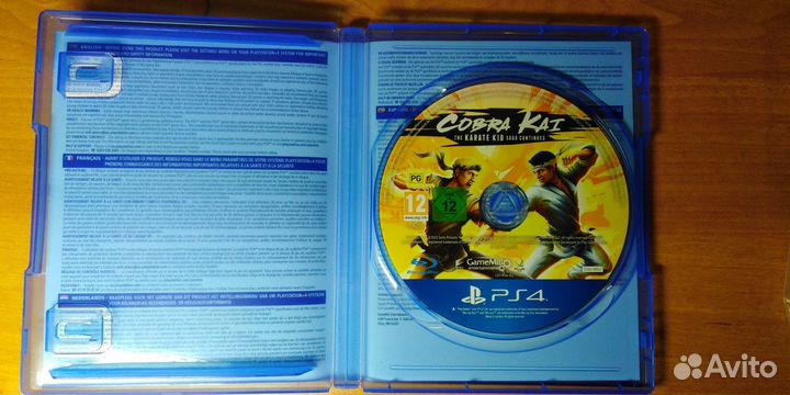 Cobra Kai The Karate Kid Saga Continues ps4