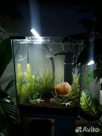 Аквариум Aquael 30