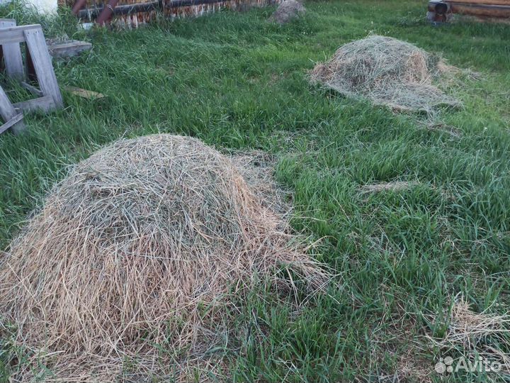 Отдам сено 6 стожков самовывозом