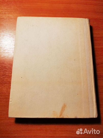 Достоевский в Петербурге. Евгения Саруханян