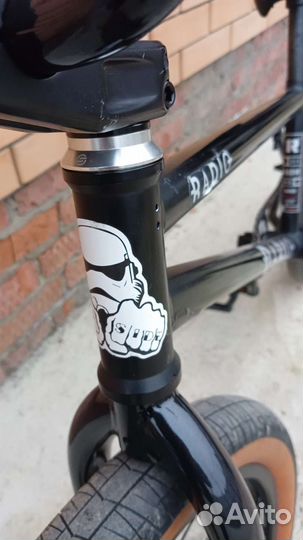 Bmx radio darko 2019 год