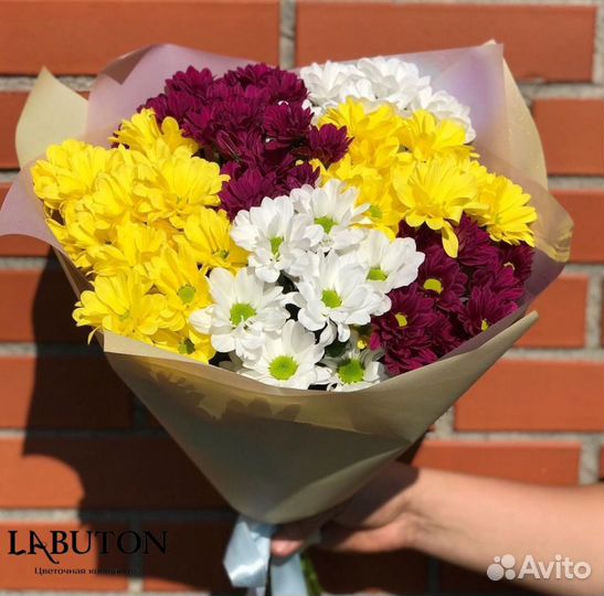 Цветы Букет Хризантем 15 шт Доставка в Кемерово