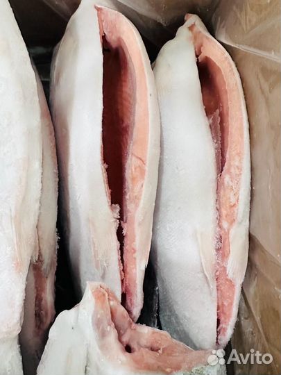 Форель с/м без головы