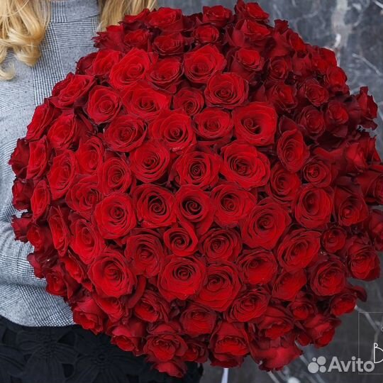 Букет розы красные 99 шт Премиум Цветы Доставка