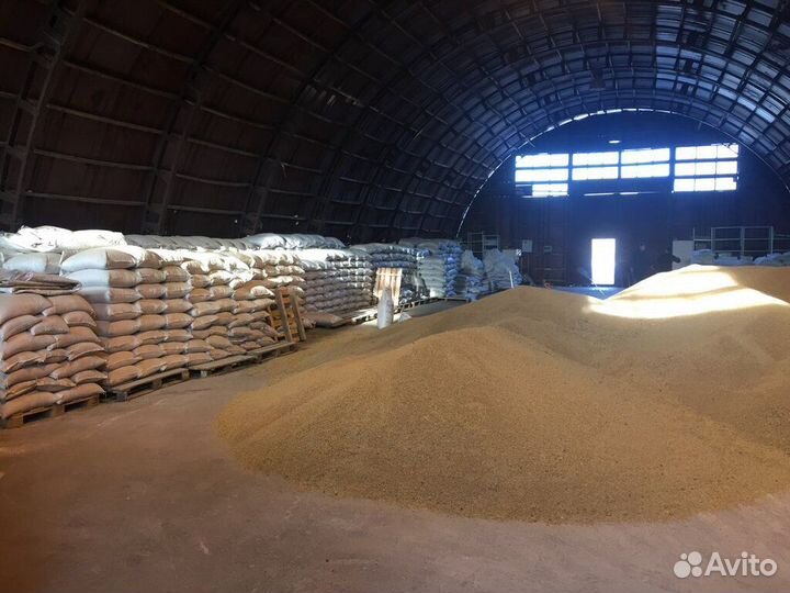 Продаем пшеницу,ячмень,овес, отруби в мешках