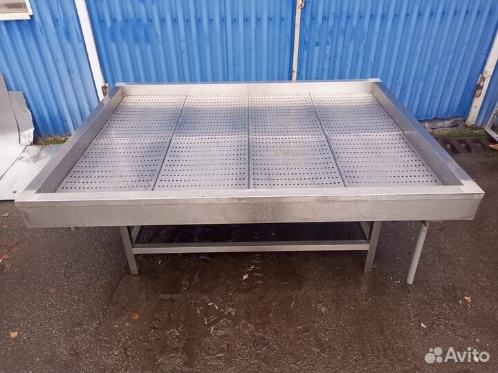 Рыба на льду