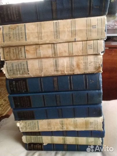 Сочинение классиков,Некрасов,Гоголь,Бунин,Турге