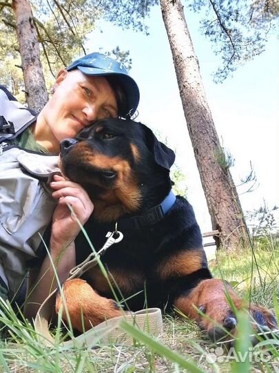 Дрессировка собак. Зоопсихолог