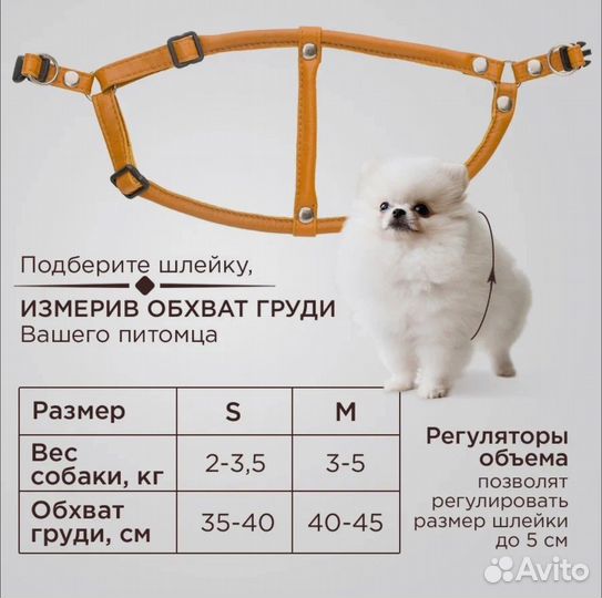 Шлейка для собаки