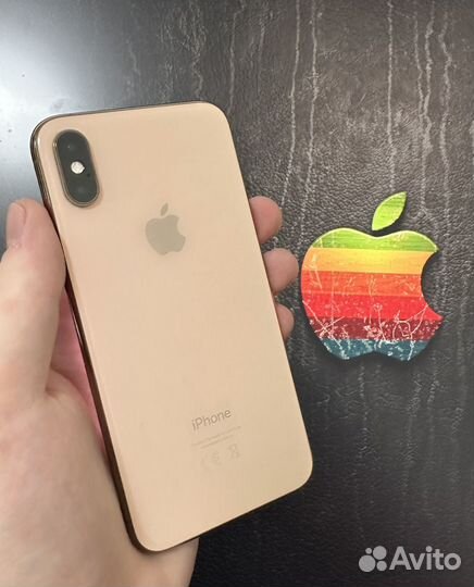 iPhone Xs, 256 ГБ