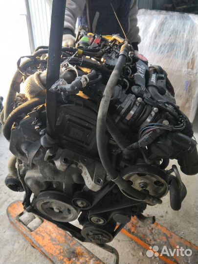 Двигатель Citroen Peugeot 1.6 dizel PSA 9H03
