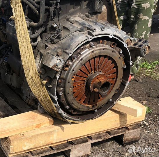 Сцепление DAF XF105