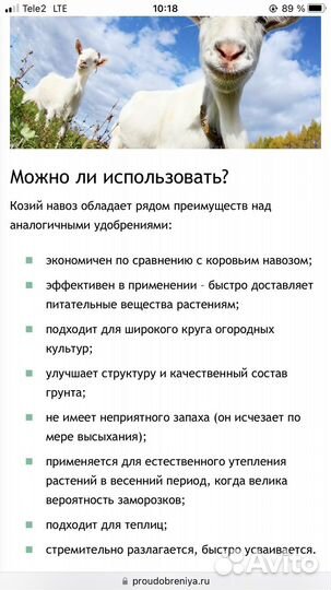 Навоз козий