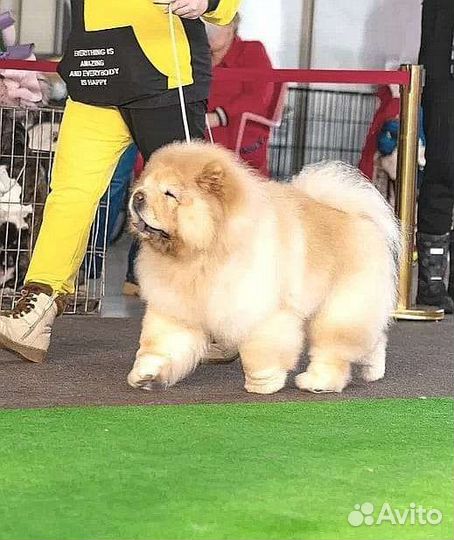 Вязка