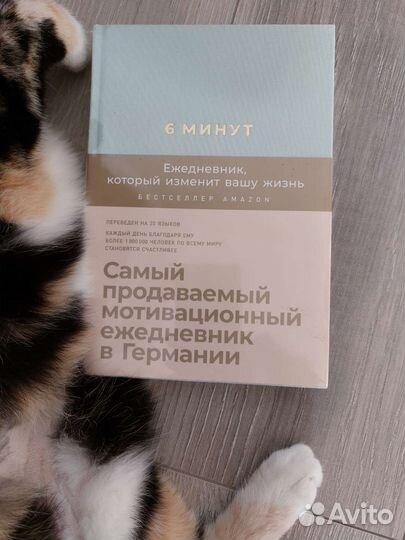 Ежедневник